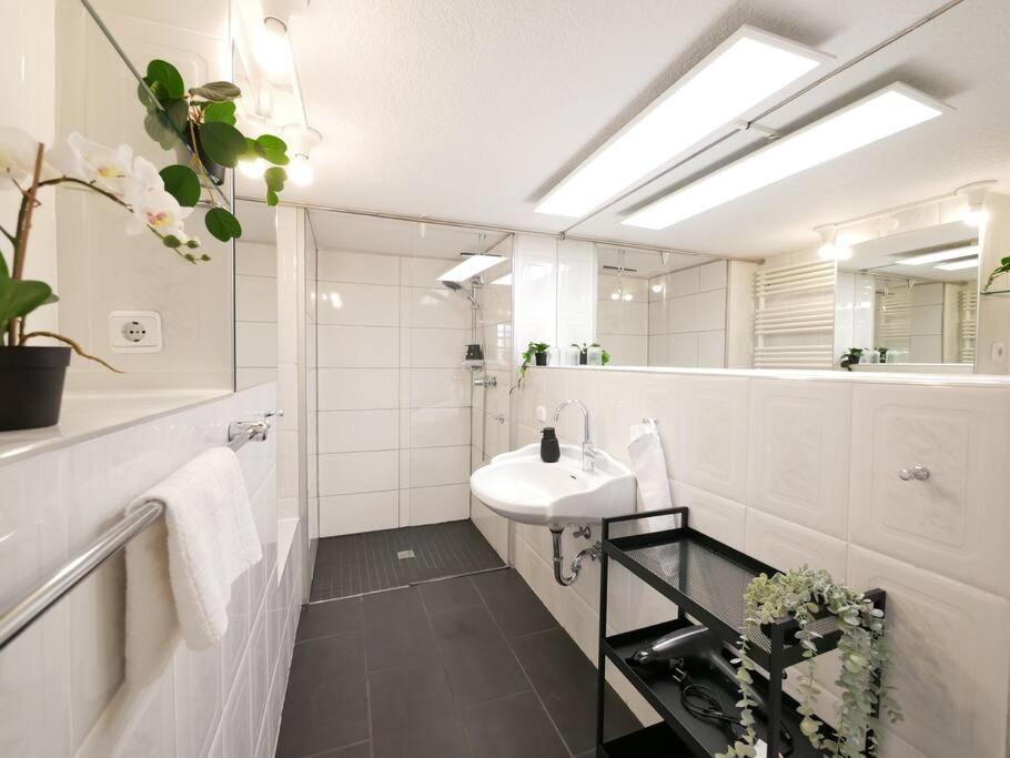110 M2, Dachterrasse, Kueche, Zentral, Ruhige Lage Apartment Падерборн Екстериор снимка